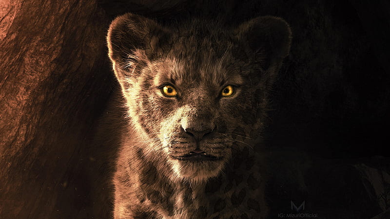 Simba With Angry Look The Lion King, HD wallpaper