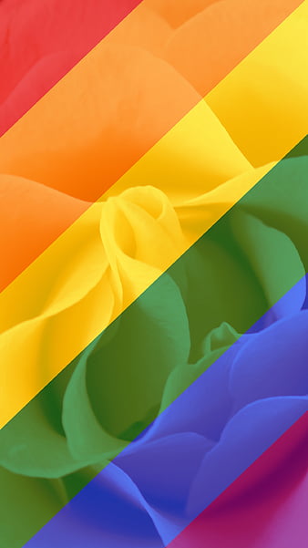 Rainbow pride lgbtq lv Sticker by, louis vuitton rainbow HD phone wallpaper