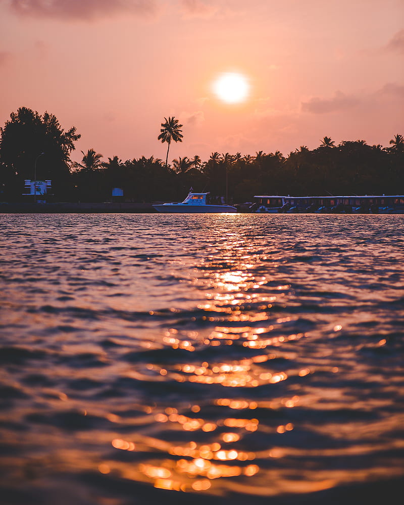 sunset, waves, water, boat, palm trees, HD phone wallpaper