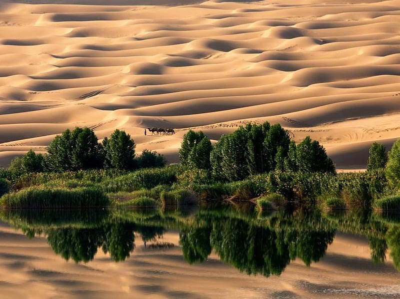 Oasis, fantasy, desert, reflection, HD wallpaper | Peakpx