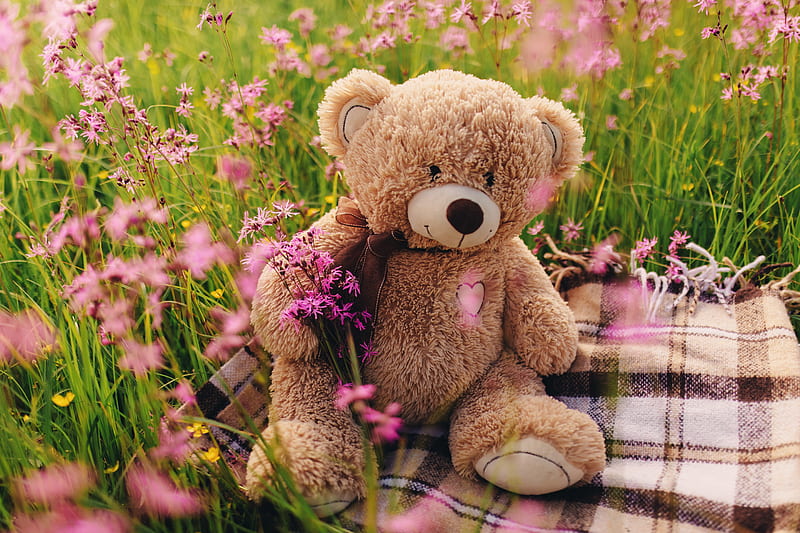 Man Made, Stuffed Animal, Flower, Teddy Bear, HD wallpaper