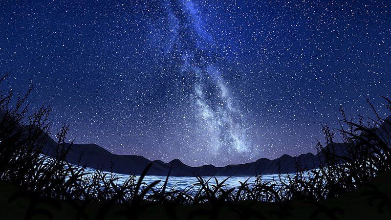 starry sky, night, plants, Landscape, HD wallpaper