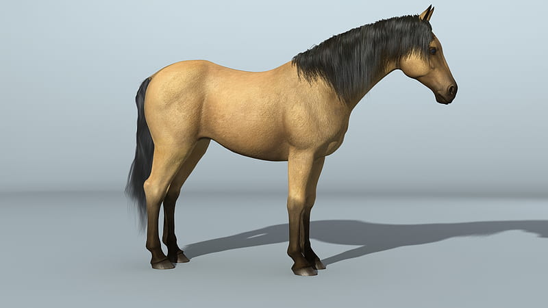 3d buskin horse, 3d, horse, computerized animation, HD wallpaper | Peakpx