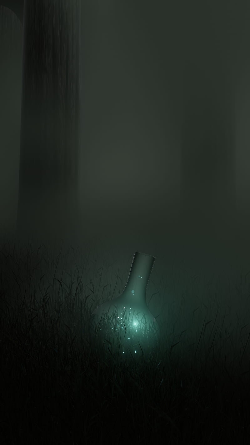 Lost in the Woods, 3d, Ancient, black, bottle, dark, fireflies, forrest, gaming, grass, jar, left, magic, nature, old, oled, reflection, HD phone wallpaper