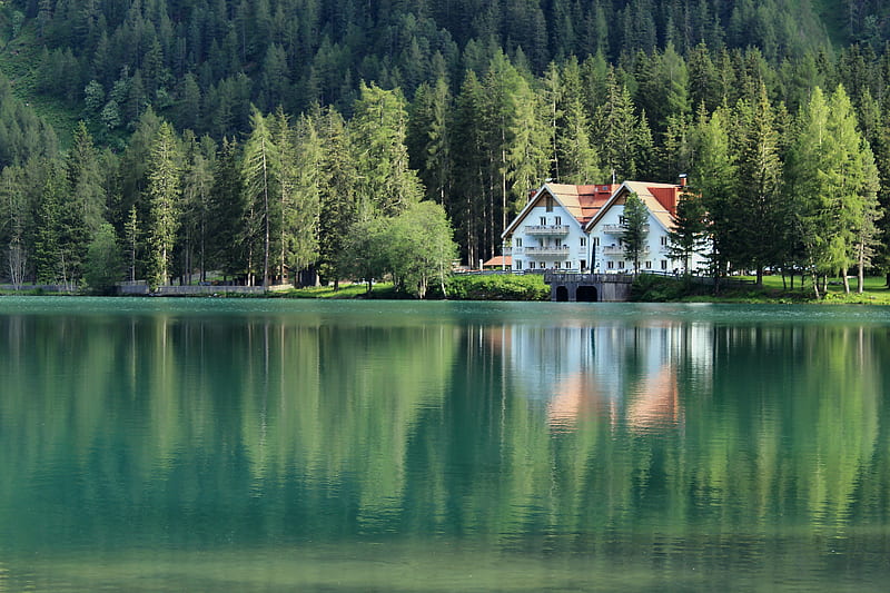 building, forest, lake, reflection, HD wallpaper