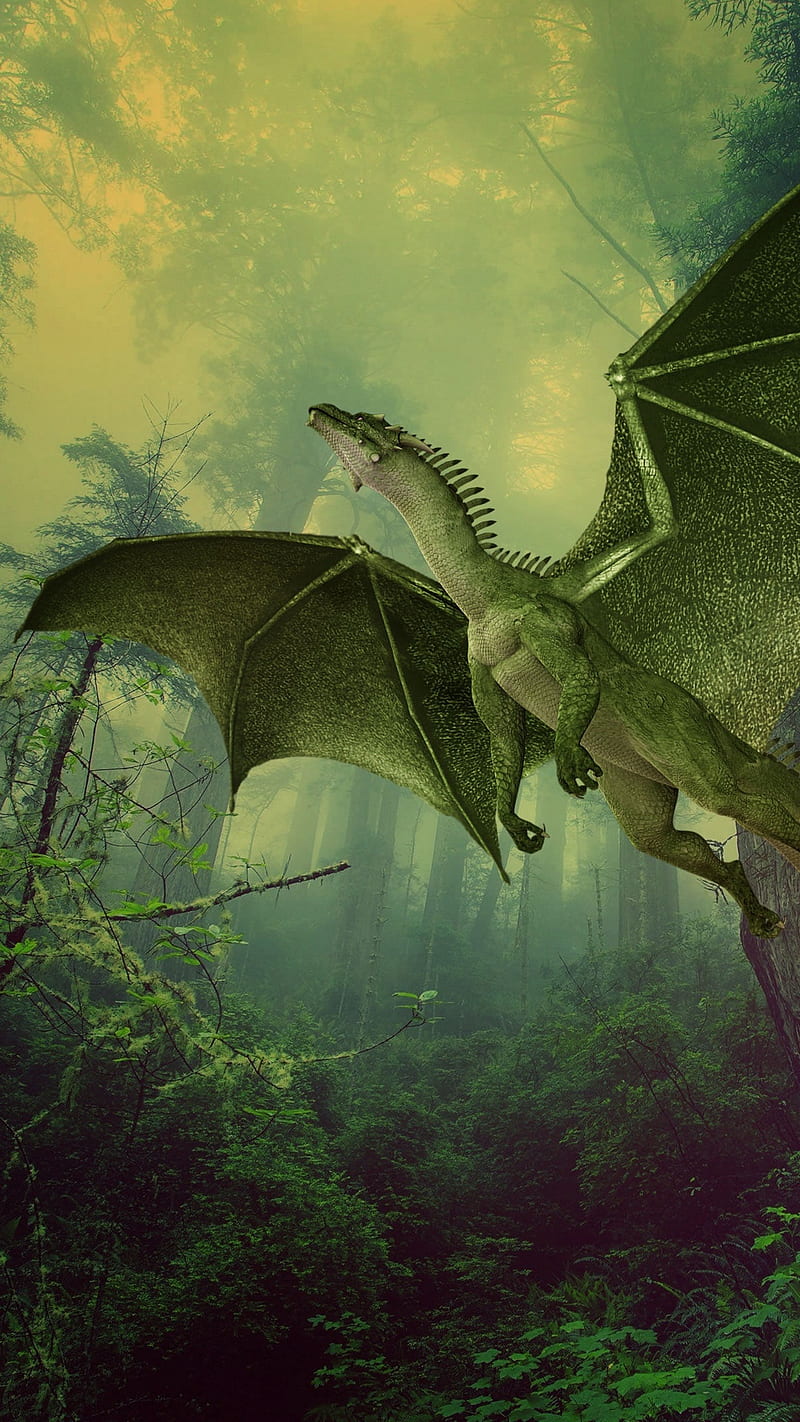 Green Dragon , hop, flight, fog, forest, fantasy, HD phone wallpaper