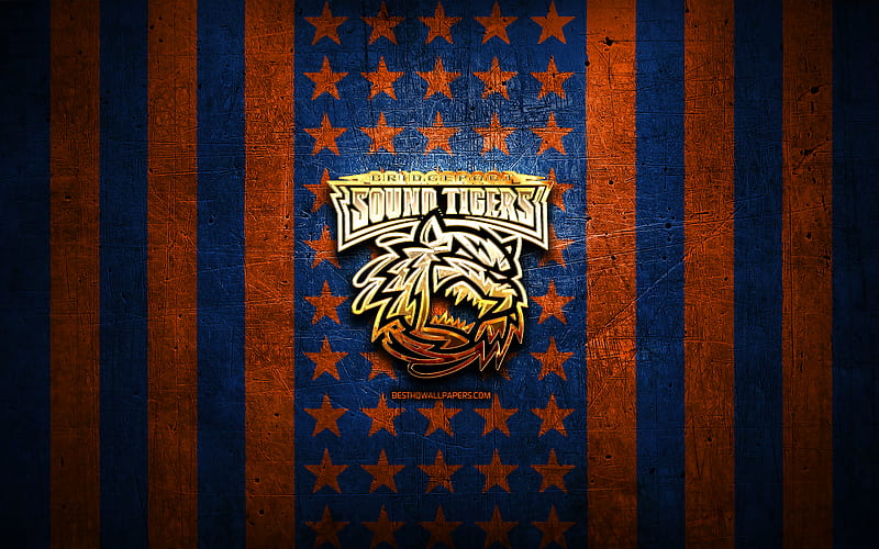 Bridgeport Sound Tigers flag, AHL, orange blue metal background, american hockey team, Bridgeport Sound Tigers logo, USA, hockey, golden logo, Bridgeport Sound Tigers, HD wallpaper