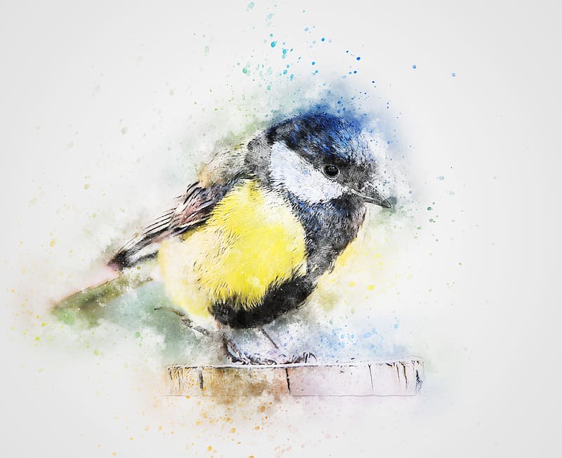 Birds, Bird, Animal, Watercolor, Chickadee, HD wallpaper