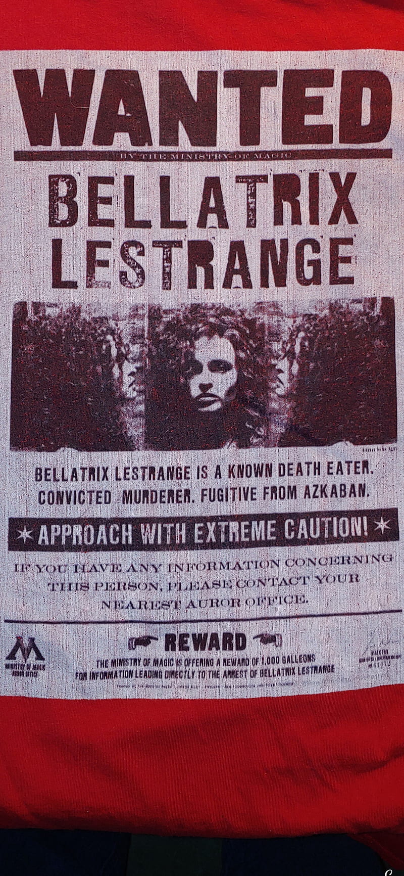 Bellatrix Poster, harry, hogwarts, lestrange, movies, potter, wanted, wizards, HD phone wallpaper
