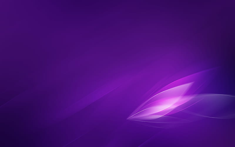 shadow violet leaves light-Design, HD wallpaper