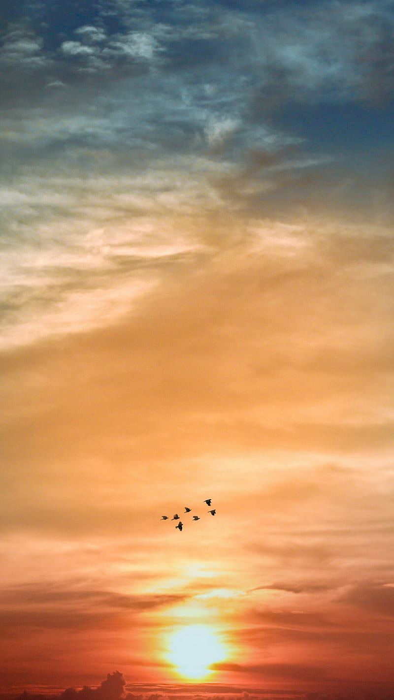 Sunset come and go, birds, colors, manipulation, shades, sun, HD phone wallpaper