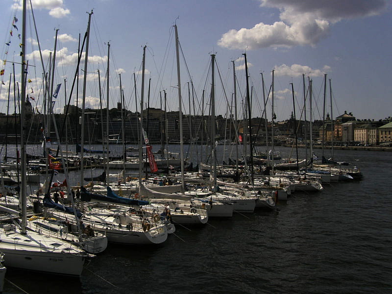 Sailboats, Race, Summer, Competition, Stockholm, HD wallpaper