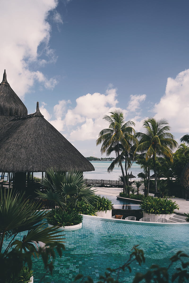 palm tree, pool, vacation, HD phone wallpaper