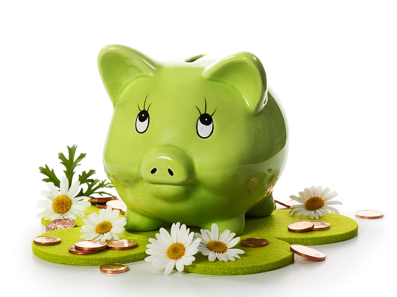 Piggy Bank And Daisies, pretty, bonito, coins, sweet, still life, graphy, nice, green, flowers, beauty, money, lovely, colors, piggy bank, daisies, cute, nature, daisy, HD wallpaper