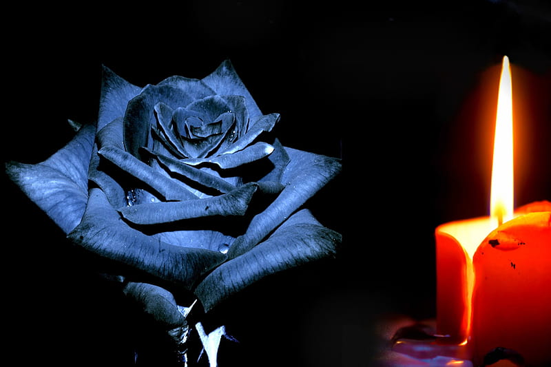 MALAYSIA MOURNS its LOST INNOCENTS, Sympathy, MH17, Malaysia, shot, flight, tragedy, Mourns, HD wallpaper