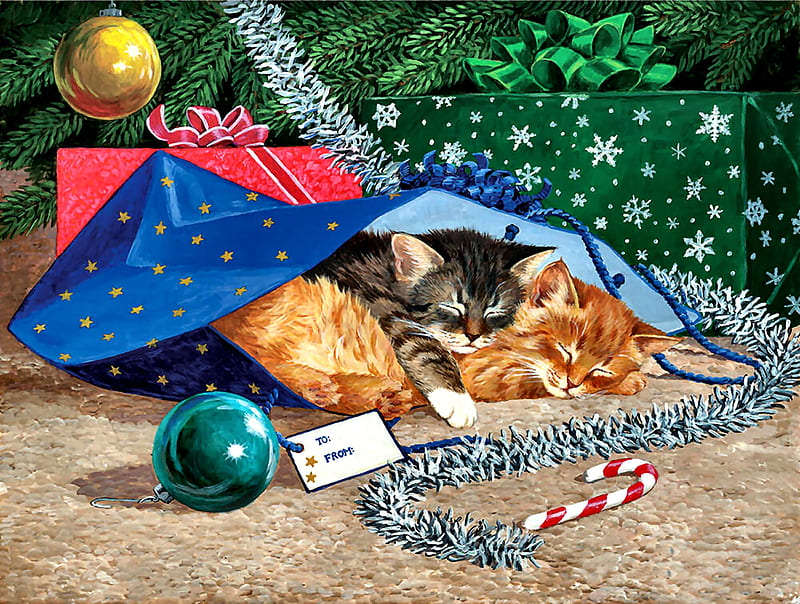 Nap Sack Cats, Christmas, art, holiday, December, bonito, pets, illustration, artwork, tree, feline, painting, wide screen, presents, occasion, scenery, cats, HD wallpaper