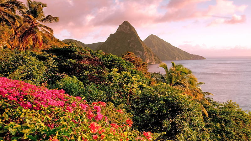 Caribbean Island of Saint Lucia, mountains, flowers, piton, nature, island, bay, caribbean, landscape, HD wallpaper