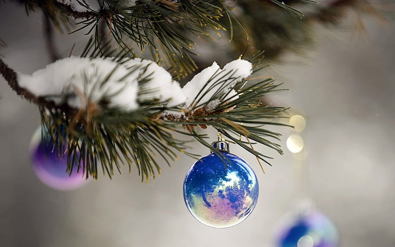 Merry Christmas!, globe, christmas, winter, tree, green, snow, fir, white, pink, blue, HD wallpaper