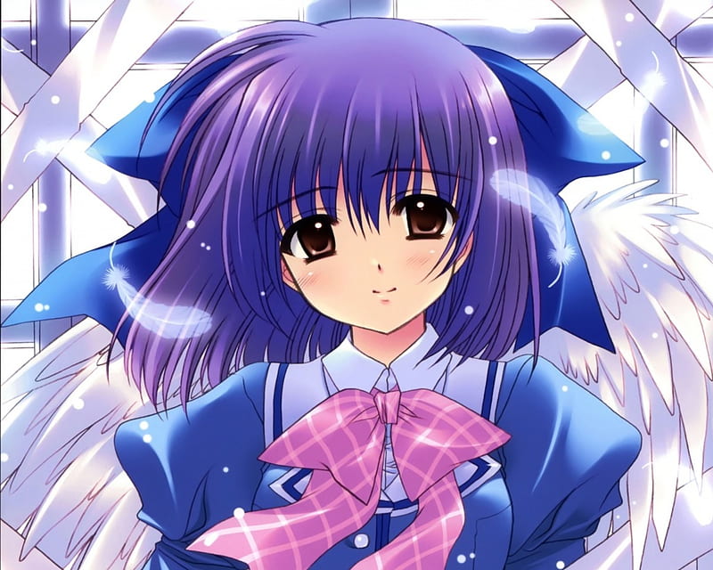 Blue White, pretty, wing, sweet, nice, close up, anime, feather, hot ...