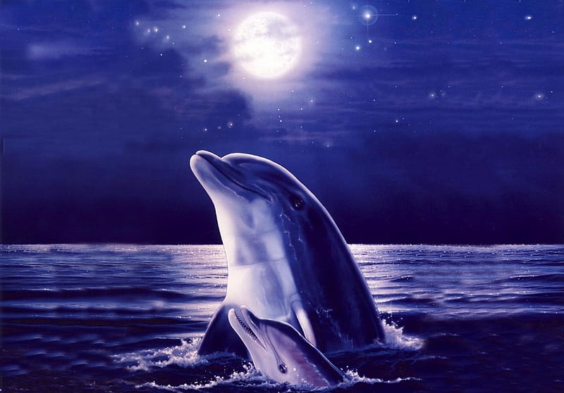 MOONLIGHT DOLPHINS, stars, dolphins, ocean, moonlight, sky, blue, night, HD wallpaper