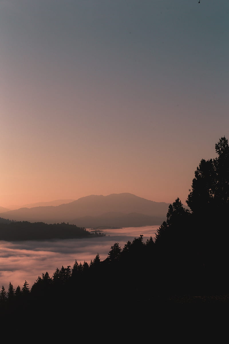 mountains, forest, fog, dusk, outlines, HD phone wallpaper