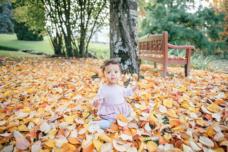 toddler sitting on leaf-covered ground near bench during daytime, HD wallpaper