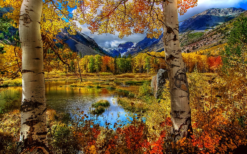 Beauty Lies Between, colorful, autumn, bold, mountains, rich, bonito, trees, HD wallpaper