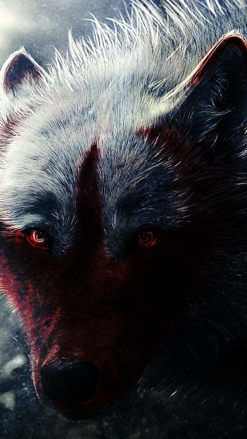 Lobo de sangre, negro, lobo, Fondo de pantalla de teléfono HD | Peakpx