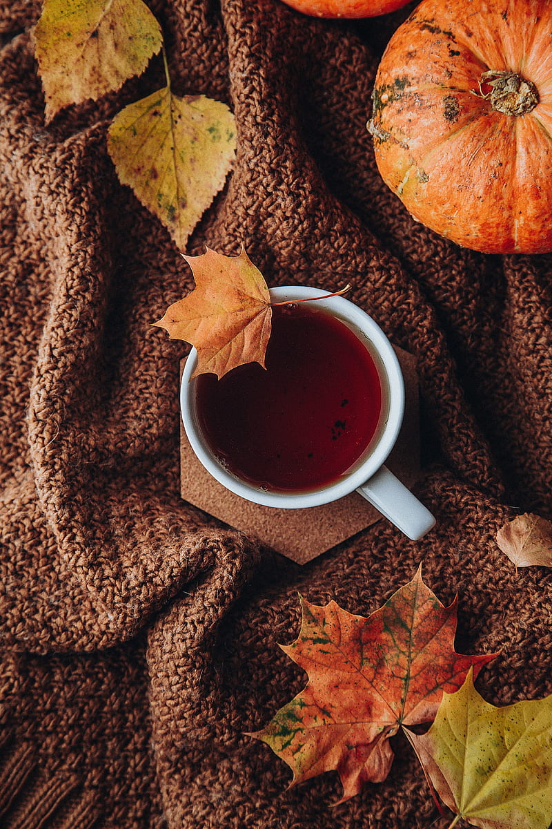 tea, cup, autumn, leaves, comfort, HD phone wallpaper