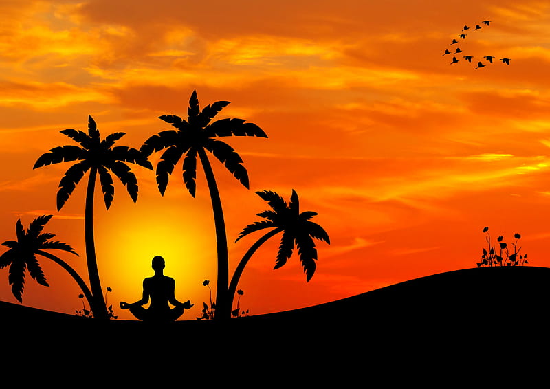 meditation, yoga, silhouette, palm trees, harmony, HD wallpaper