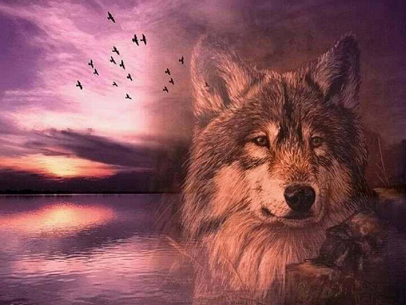 Wolf Spirit, Spirit, painting, birds, nature, Wolf, sky, HD wallpaper ...