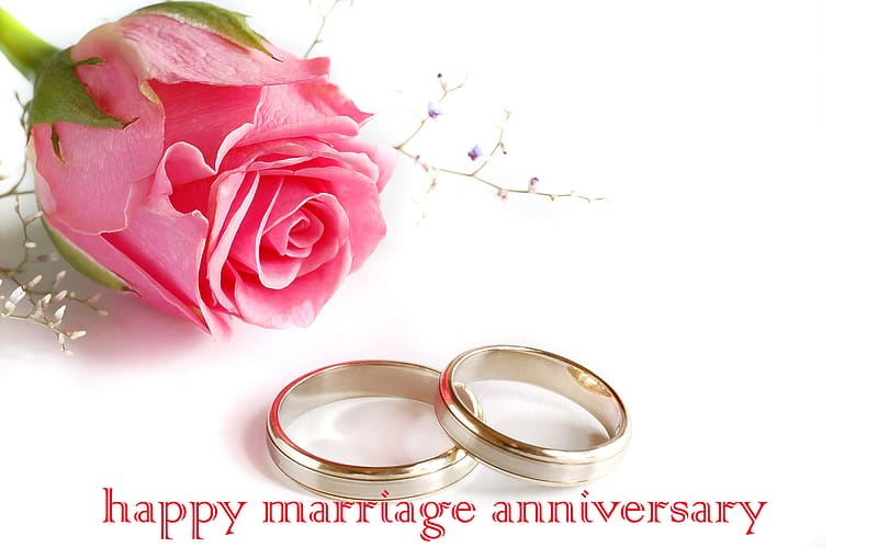 Anniversary Wishes For Wife : My amazing bride, you complete me and you  make me whole. Happy anniversary to my wife, the center of my world. |  Shortpedia