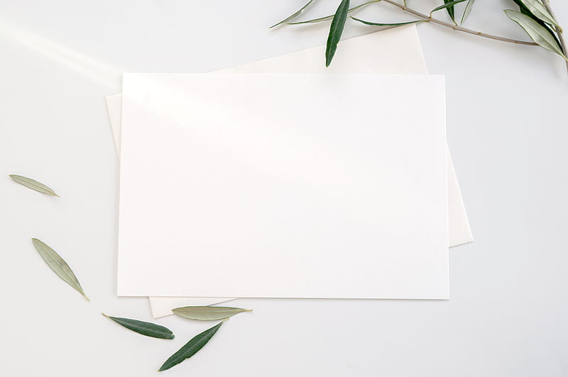 white printer paper with green leaves, HD wallpaper