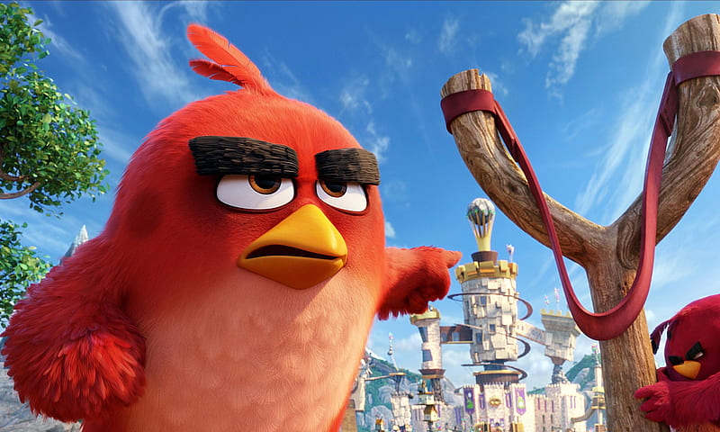 The Angry Birds Movie , angry-birds, birds, movies, animated-movies, 2016-movies, the-angry-birds-movie, HD wallpaper