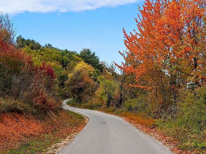 Beautiful Autumnal Path Path Trees Sky Autumn Hd Wallpaper Peakpx