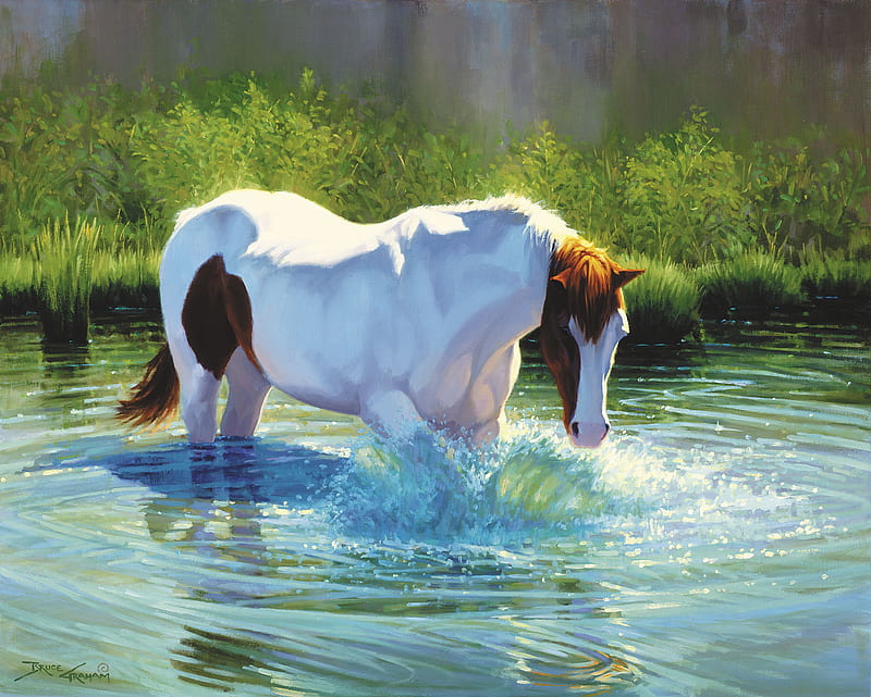 The Stallion, drinking, water, power, grand, horse, wading, HD wallpaper