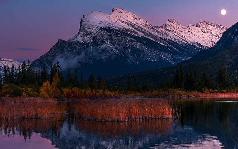 Banff, Vermilion Lakes autumn, Banff National Park, Canada, HD wallpaper