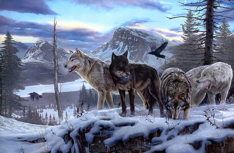 WARRIORS OF THE NORTH WOODS, ANIMALS, WINTER, SNOW, BIRDS, WOLVES, FOREST, MOUNTAINS, HD wallpaper