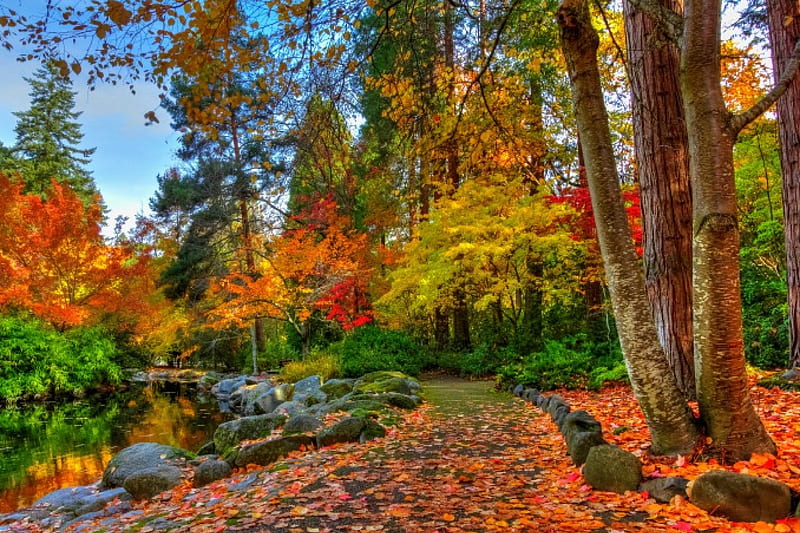 Autumn, fall, leaves, water, autumn splendor, nature, trees, lake, HD wallpaper