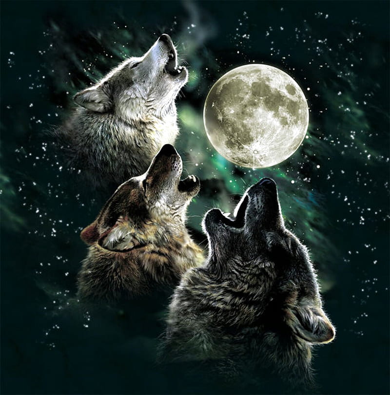 Howling Wolf Pack, wolves, moon, HD phone wallpaper