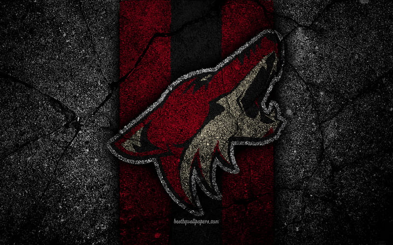 Arizona Coyotes, logo, hockey club, NHL, black stone, Western Conference, USA, Asphalt texture, hockey, Pacific Division, HD wallpaper