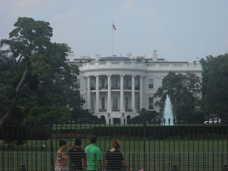 The White House, washington dc, capitol, monument, HD wallpaper