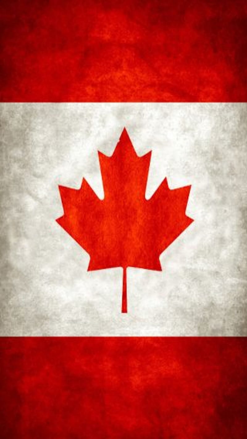 Canada Flag, better than us, ca, canada, canadian, flag, maple leaf, north america, red and white, HD phone wallpaper
