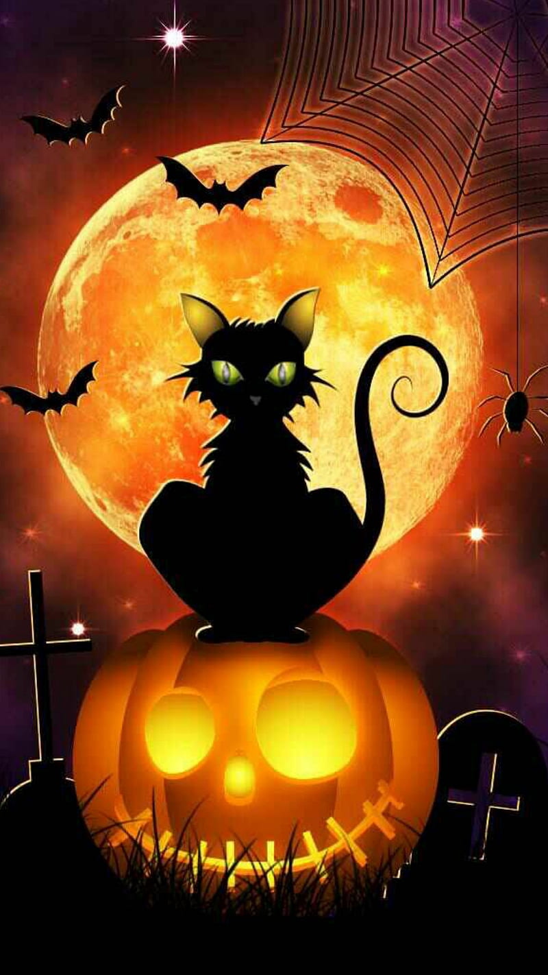 Halloween Cat, black cat, boo, scary, spooky, HD phone wallpaper
