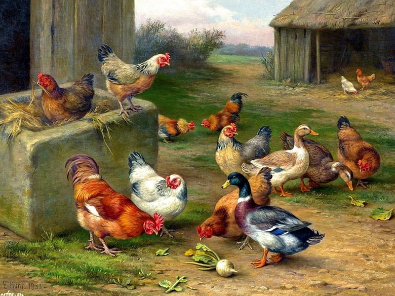 Duck in the Barnyard, rooster, hens, painting, birds, poultry, artwork, HD wallpaper