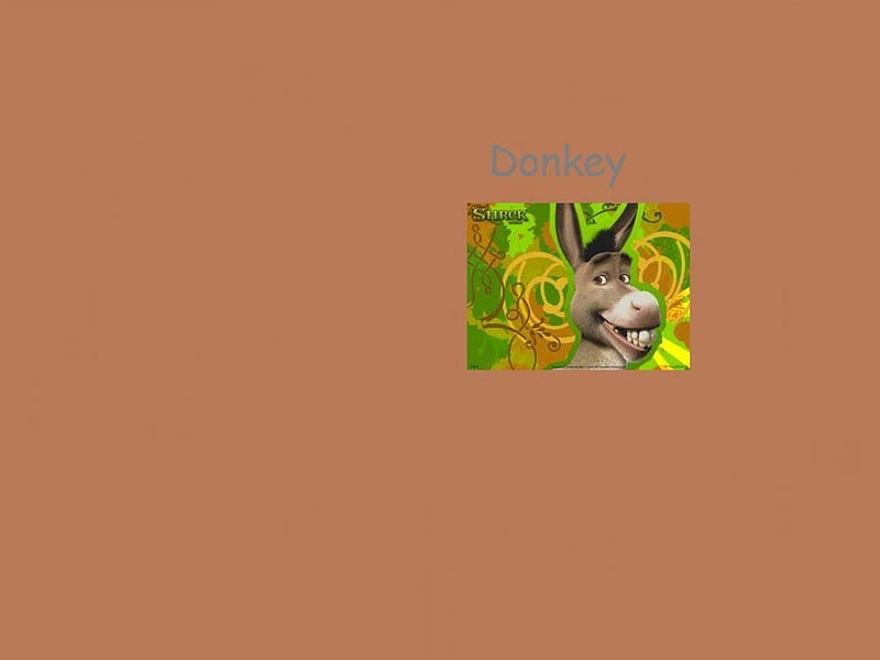 Donkey, shrek, steed, friend, HD wallpaper | Peakpx