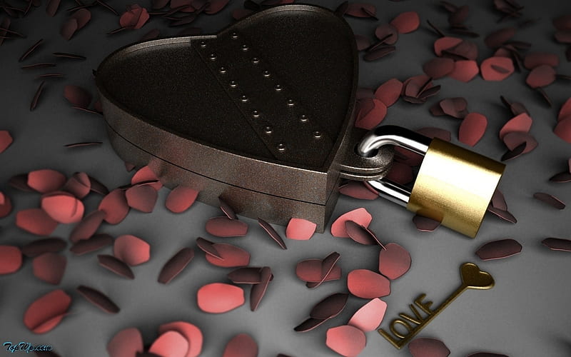 Love Is The Key ~ To all my friends here on Nexus., graphy, love, lock, heart, petals, pink, key, locket, HD wallpaper