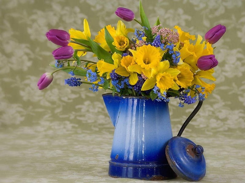 IN GRANDMA'S KITCHEN, daffodils, flowers, yellow, tulips, coffee carafe, blooms, kettle, blue, HD wallpaper