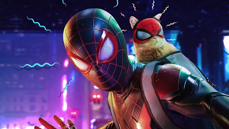 Miles Morales With Cat Spiderman, HD wallpaper | Peakpx