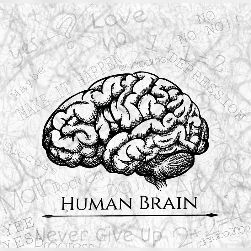 human brain wallpaper
